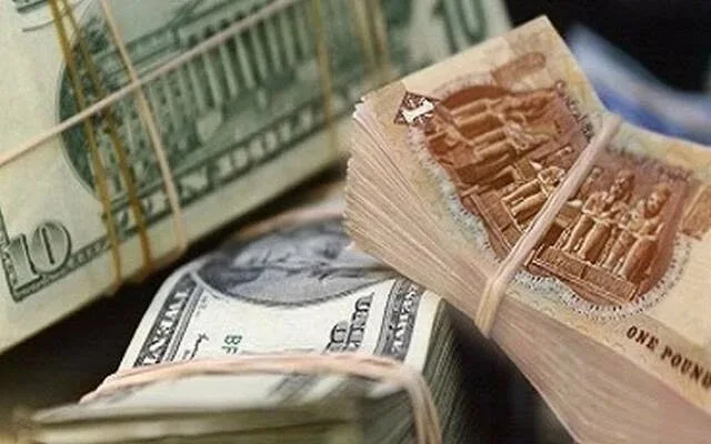 سعر الدولار أمام الجنيه المصري اليوم الأربعاء 11 يونيو 2025.. انخفاض جديد في البنوك سعر الدولار أمام الجنيه المصري اليوم الأربعاء 11 يونيو 2025.. انخفاض جديد في البنوك