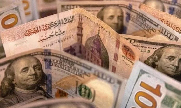 سعر الدولار أمام الجنيه في البنوك المصرية سعر الدولار أمام الجنيه في البنوك المصرية