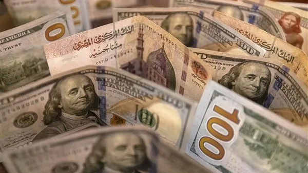 سعر الدولار مقابل الجنيه في نهاية تداولات يوم السبت 14 يونيو 2025 سعر الدولار مقابل الجنيه في نهاية تداولات يوم السبت 14 يونيو 2025