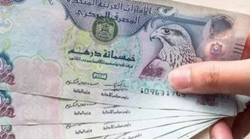 سعر صرف الدرهم الإماراتي مقابل الجنيه المصري اليوم السبت 7 يونيو 2025