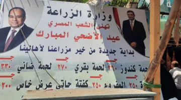 سعر كيلو الضأن 330 جنيهًا.. تعرف على أسعار اللحوم والمواد الغذائية في منافذ وزارة الزراعة
