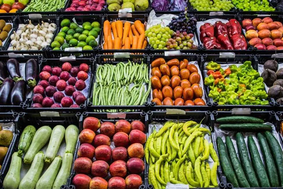 سوق العبور اليوم الثلاثاء: الطماطم بسعر 10 جنيهات، أسعار الخضروات والفاكهة المتاحة سوق العبور اليوم الثلاثاء: الطماطم بسعر 10 جنيهات، أسعار الخضروات والفاكهة المتاحة