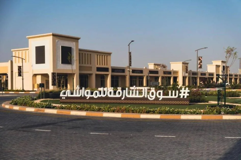 سوق المواشي في الشارقة يستقبل 31 ألف زائر خلال عيد الأضحى سوق المواشي في الشارقة يستقبل 31 ألف زائر خلال عيد الأضحى