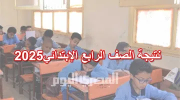 سيتم الإعلان رسميًا قريبًا.. رابط الحصول على نتيجة الصف الرابع الابتدائي للفصل الدراسي الثاني 2025 في القاهرة باستخدام رقم الجلوس