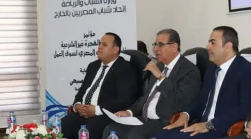 شباب المصريين في الخارج: نتحد ضد محاولات الاستغلال والابتزاز السياسي لقضية فلسطين، والأمن القومي المصري خط أحمر.