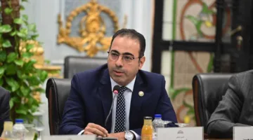 «شباب المصريين في المهجر»: نتحد لمواجهة محاولات التلاعب والابتزاز السياسي حول القضية الفلسطينية