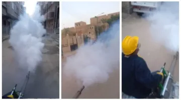 صحة أسيوط تعزز جهود مكافحة الحشرات خلال أيام عيد الأضحى