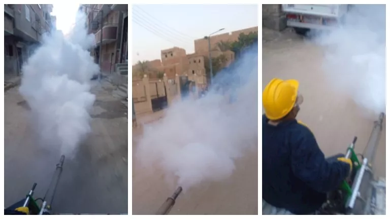 صحة أسيوط تعزز جهود مكافحة الحشرات خلال أيام عيد الأضحى