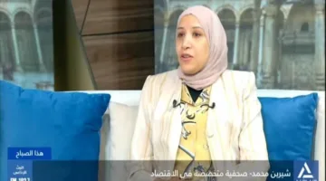 صحفية: الصناعة المفتاح السحري للوصول إلى الاكتفاء الذاتي
