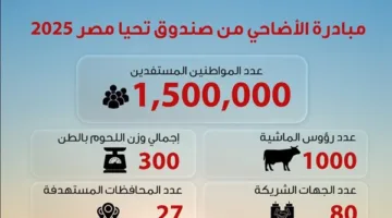 صندوق تحيا مصر: توزيع لحوم الأضاحي على 1.5 مليون مستفيد من الأسر المحتاجة.