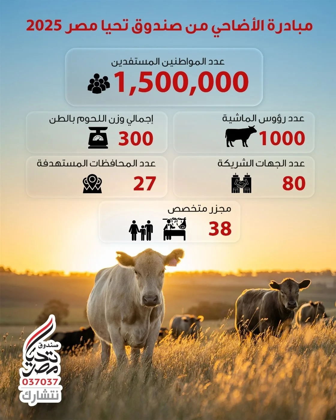 صندوق تحيا مصر يحقق استفادة 1.5 مليون من الأسر الأكثر احتياجًا.. إنفوجراف صندوق تحيا مصر يحقق استفادة 1.5 مليون من الأسر الأكثر احتياجًا.. إنفوجراف