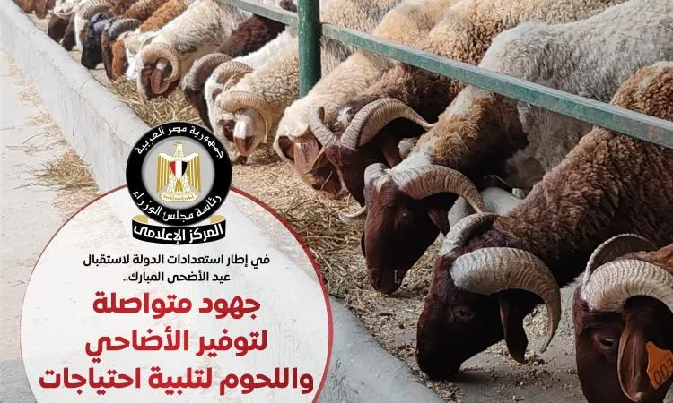 صور: الحكومة تبذل قصارى جهدها لتوفير الأضاحي واللحوم بأسعار معقولة في عيد الأضحى صور: الحكومة تبذل قصارى جهدها لتوفير الأضاحي واللحوم بأسعار معقولة في عيد الأضحى
