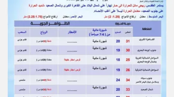 ضباب ورياح وأمطار.. “الأرصاد” تكشف توقعات الطقس ليوم الاثنين