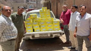 ضبط دقيق مدعوم و6000 قطعة من المثلجات منتهية الصلاحية في سنورس