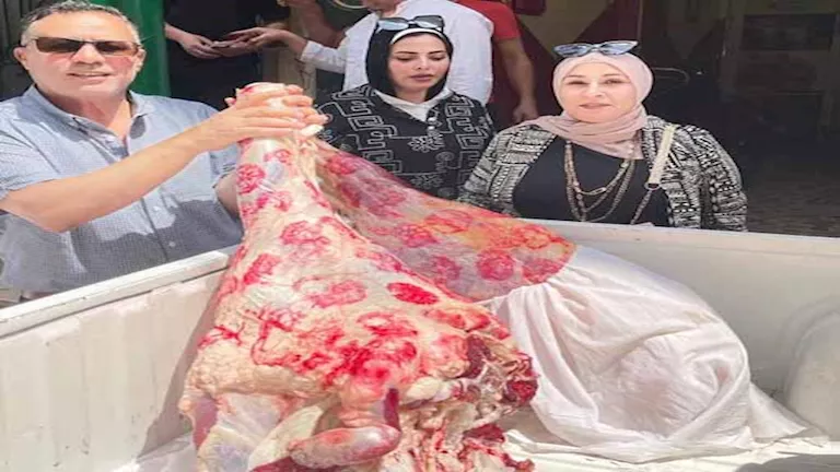 ضبط لحوم مذبوحة بطرق غير قانونية وتسجيل 136 مخالفة متنوعة في الإسماعيلية ضبط لحوم مذبوحة بطرق غير قانونية وتسجيل 136 مخالفة متنوعة في الإسماعيلية