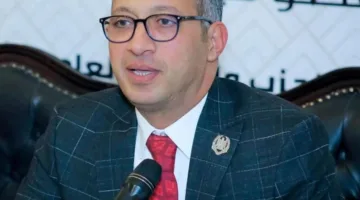 طارق العوضي يرد على عماد جاد: مصر هي التي أطلقت مبادرة الجامعة العربية وتعتبر مركزًا رئيسيًا في الفكر السياسي.