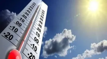 طقس دافئ مع هطول أمطار خفيفة ورياح.. اكتشف توقعات الطقس ليوم الإثنين