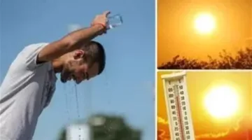 طقس يوم الاثنين: حرارة مرتفعة خلال النهار وليالي معتدلة في معظم المناطق مع ضباب صباحي.