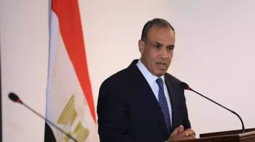 عبد العاطي ونظيره النيجيري يستعرضان آفاق تقوية التعاون بين البلدين