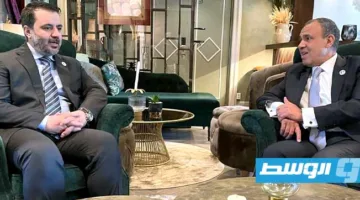 عبد العاطي يناقش مع الشيباني مستجدات الوضع في سوريا ويؤكد على مخاطر التدخلات الخارجية