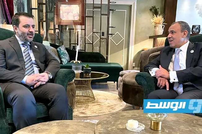 عبد العاطي يناقش مع الشيباني مستجدات الوضع في سوريا ويؤكد على مخاطر التدخلات الخارجية عبد العاطي يناقش مع الشيباني مستجدات الوضع في سوريا ويؤكد على مخاطر التدخلات الخارجية