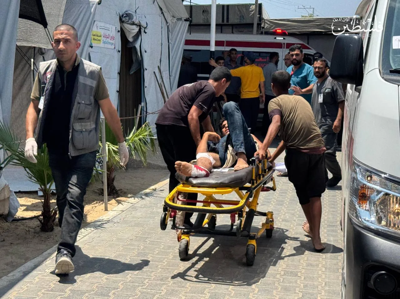 عدد ضحايا الإبادة في غزة يتجاوز 181 ألف بين شهيد وجريح عدد ضحايا الإبادة في غزة يتجاوز 181 ألف بين شهيد وجريح