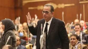 عضو في مجلس الشيوخ: هناك تشريعات تحتاج إلى تعديل في مجالات البيئة والتكنولوجيا المالية