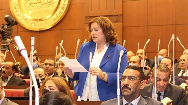 النائبة عايدة نصيف: استخدام اسم مصر لتشويه دورها في القضية الفلسطينية محاولات غير ناجحة، والعالم يشهد جهودها الواضحة. النائبة عايدة نصيف: استخدام اسم مصر لتشويه دورها في القضية الفلسطينية محاولات غير ناجحة، والعالم يشهد جهودها الواضحة.