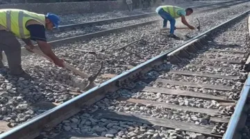 عمال السكك الحديدية يستمرون في العمل أثناء إجازة عيد الأضحى لتلبية احتياجات المسافرين
