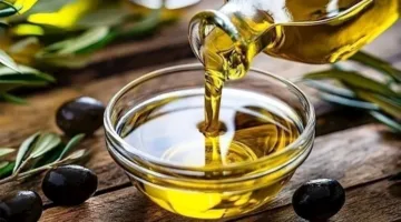عنصر في زيت الزيتون قد يزيد من احتمالية السمنة – دراسة جديدة تكشف ذلك
