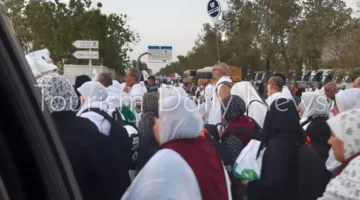 غرفة السياحة: انسيابية حجاج بيت الله الحرام إلى مزدلفة مع متابعة دائمة