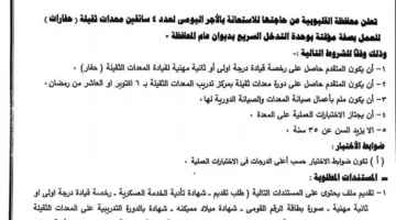 فرص عمل متاحة: محافظة القليوبية تبحث عن تعيين سائقيين (المتطلبات والتفاصيل)
