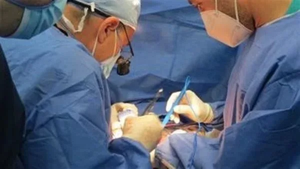 فريق طبي في مستشفيات قنا الجامعية ينفذ عملية جراحية معقدة لعلاج سقوط شرجي كامل لشاب فريق طبي في مستشفيات قنا الجامعية ينفذ عملية جراحية معقدة لعلاج سقوط شرجي كامل لشاب