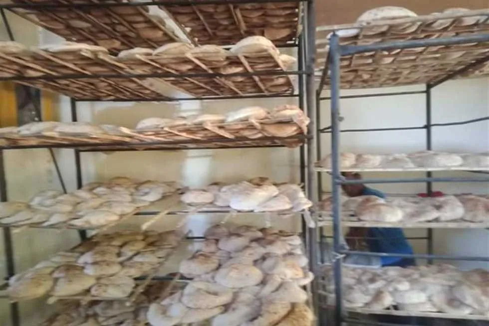 فقط 37 مليون رغيف من الخبز المدعوم تم إنتاجه من المخابز المحلية في الأقصر خلال فترة أسبوعين فقط 37 مليون رغيف من الخبز المدعوم تم إنتاجه من المخابز المحلية في الأقصر خلال فترة أسبوعين