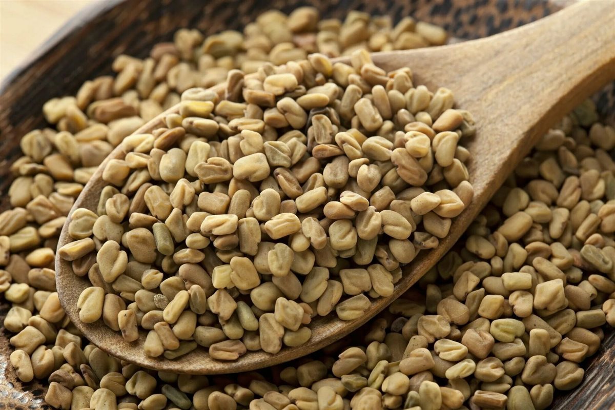 الحلبة للصحة