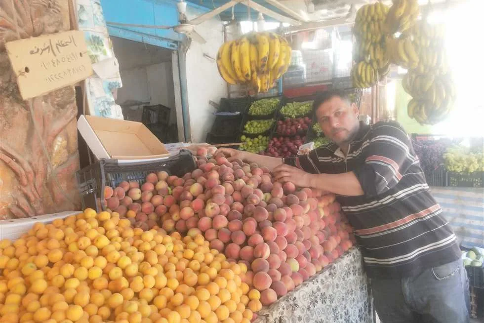 في اليوم الأول من عيد الأضحى: أسعار الفاكهة تبقى ثابتة في مطروح في اليوم الأول من عيد الأضحى: أسعار الفاكهة تبقى ثابتة في مطروح