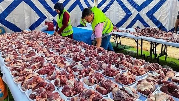 في اليوم الثاني للعيد.. “تضامن قنا” تواصل ذبح الأضاحي وتوزيعها على المستحقين.