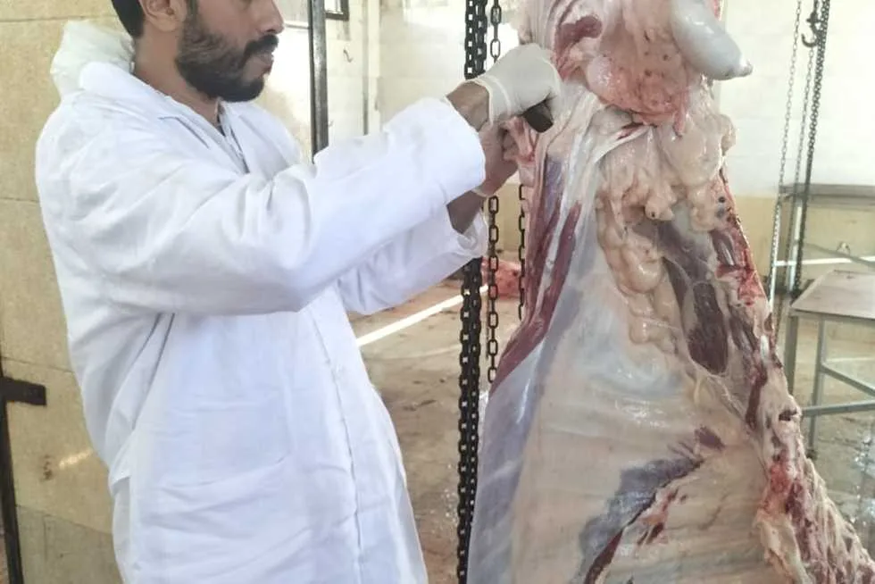 في اليوم الثاني من عيد الأضحى: استمرار عمل المجازر لذبح الأضاحي في شمال سيناء في اليوم الثاني من عيد الأضحى: استمرار عمل المجازر لذبح الأضاحي في شمال سيناء