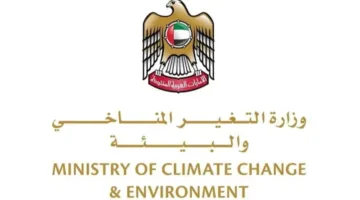 في اليوم العالمي للمحيطات.. الإمارات تجدد عزمها على الحفاظ على “شريان الحياة”