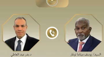 في محادثة بين وزيري خارجية البلدين، مصر ونيجيريا تسعيان لاستكشاف فرص استثمار جديدة في مشاريع تعاونية.