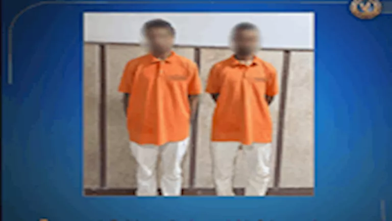 فيديو مروع يظهر حبس كلاب في أكياس بلاستيكية في مطروح فيديو مروع يظهر حبس كلاب في أكياس بلاستيكية في مطروح