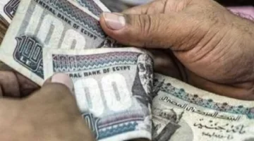 قانون الطفل يحدد الفئات المؤهلة للحصول على معاش شهري من وزارة التضامن.. اكتشف التفاصيل