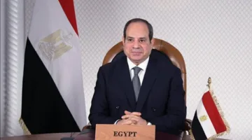 قرار رئاسي بالموافقة على منحة من إسبانيا لدعم مشروع توفير وظائف للشباب