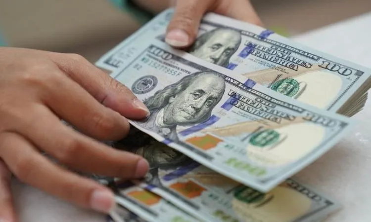 قضايا تهريب غير قانوني للعملة الأجنبية تقدر بـ 15 مليون جنيه تم ضبطها خلال 24 ساعة قضايا تهريب غير قانوني للعملة الأجنبية تقدر بـ 15 مليون جنيه تم ضبطها خلال 24 ساعة