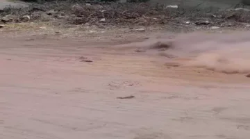 قلق كبير في أسيوط بسبب فيديو “اهتزاز الأرض”.. وتوضيح رسمي يكشف الحقيقة