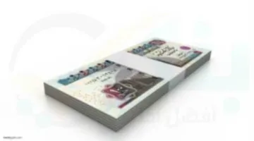 كيفية حساب الفائدة على مليون جنيه في حساب ميجا يوميًا من بنك SAIB؟