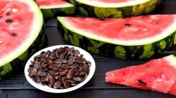 «لا تتخلص منه».. كيفية تحضير لب البطيخ في المنزل بخطوات سهلة