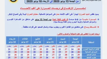 “لا تتوجه إلى الشمس” .. الأرصاد الجوية تحذر من أحوال الطقس اليوم: الحرارة قد تبلغ 43 درجة