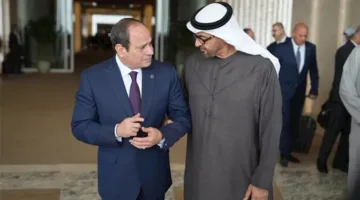 لحظة مميزة بين السيسي وبن زايد في أبوظبي تُحاكي ردود فعل عديدة (فيديو)