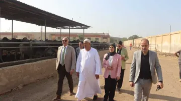لفحص الأضاحي… محافظ القليوبية يتجول في مجزر شبرا شهاب بالقناطر الخيرية